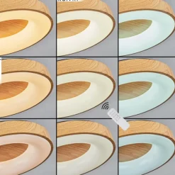 Plafonnier Sachseln LED Noir, 1 lumière