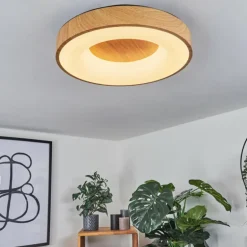 Plafonnier Sachseln LED Noir, 1 lumière
