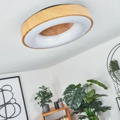 Plafonnier Sachseln LED Noir, 1 lumière