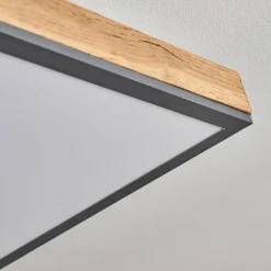 Plafonnier Salmi LED Couleur bois, Noir, Blanc, 1 lumière, Télécommandes