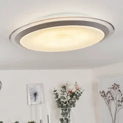 Plafonnier Sapioris LED Argenté, 1 lumière