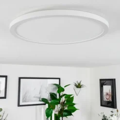 Plafonnier Sasinhosa LED Blanc, 1 lumière, Télécommandes