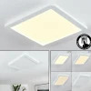 Plafonnier Siguna LED Blanc, 1 lumière