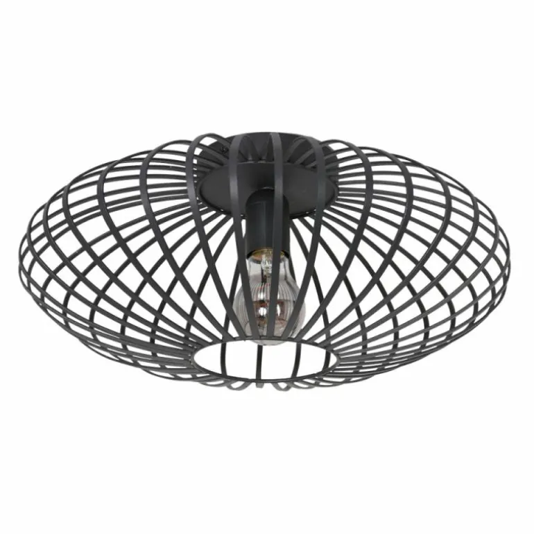 Plafonnier Steinhauer Dunbar Noir, 1 lumière