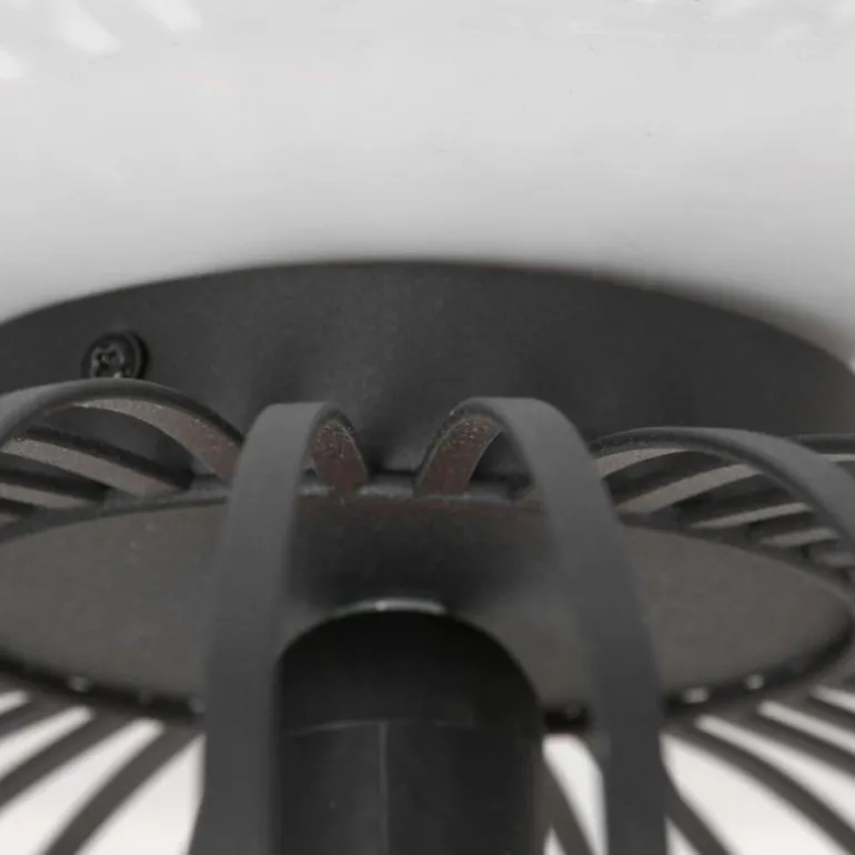 Plafonnier Steinhauer Dunbar Noir, 1 lumière