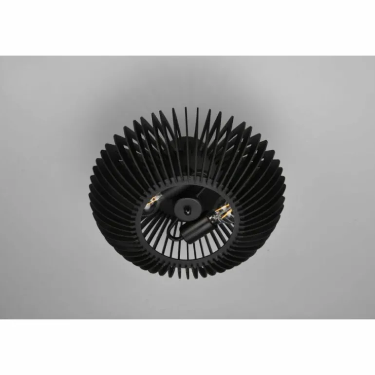 Plafonnier Trio Colino Noir, 2 lumières