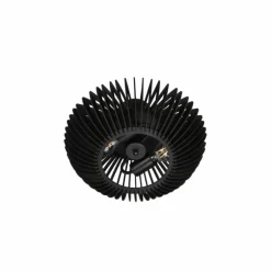 Plafonnier Trio Colino Noir, 2 lumières