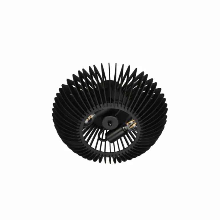 Plafonnier Trio Colino Noir, 2 lumières