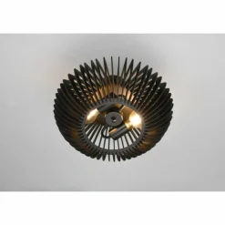 Plafonnier Trio Colino Noir, 2 lumières