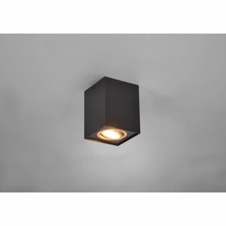 Plafonnier Trio Cookie Or, Noir, 1 lumière