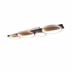 Plafonnier Trio Medera LED Noir, Titane, 1 lumière