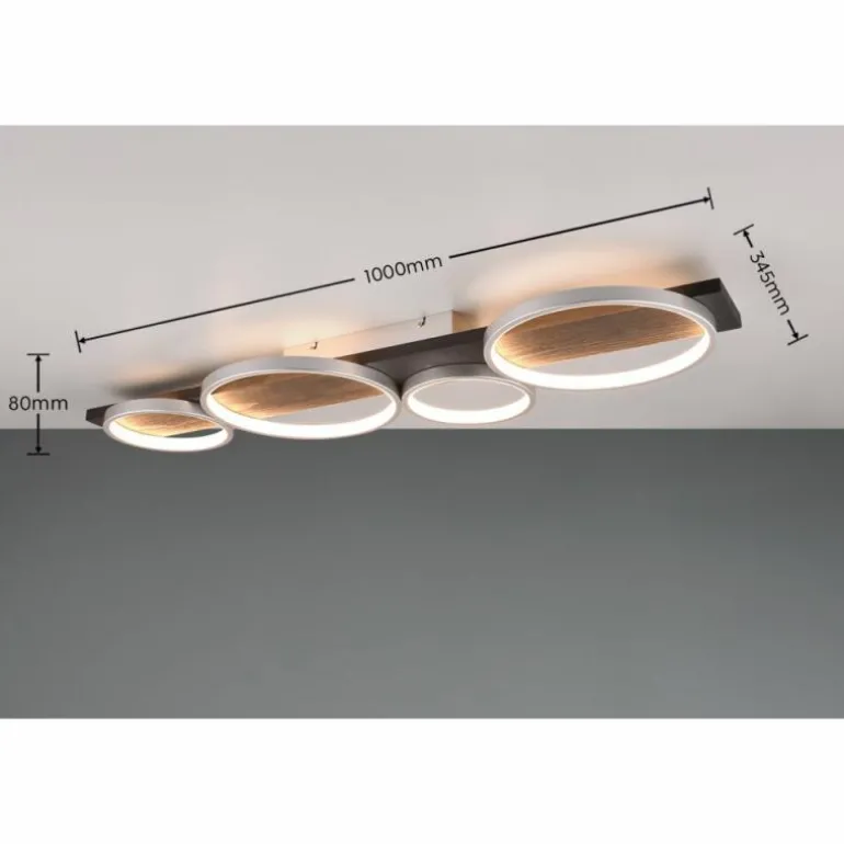 Plafonnier Trio Medera LED Noir, Titane, 1 lumière
