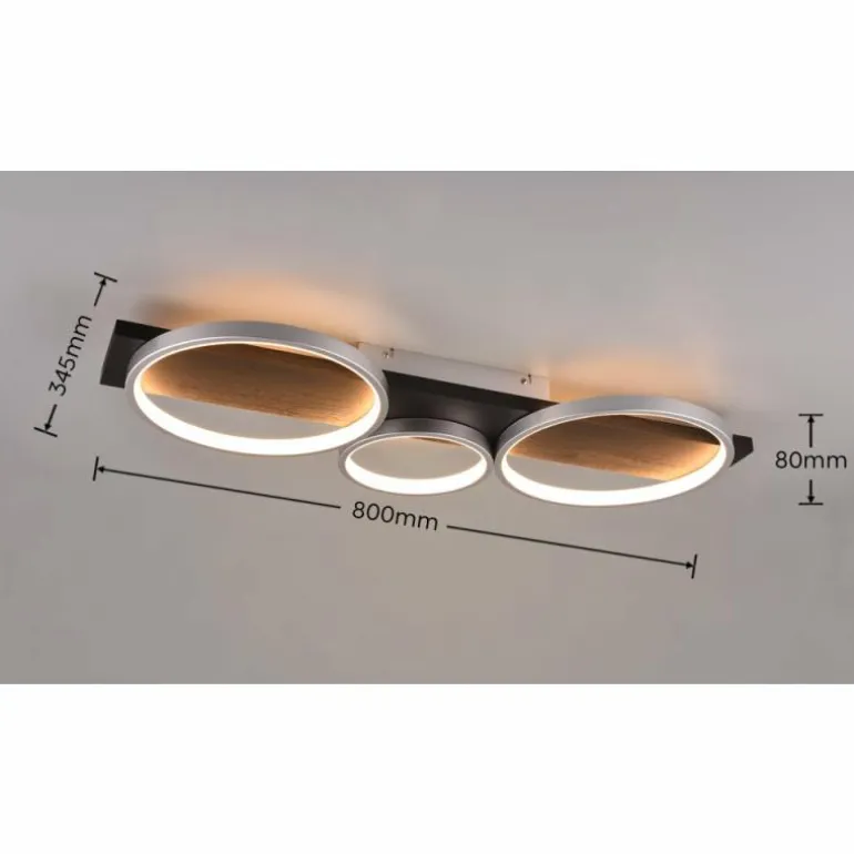Plafonnier Trio Medera LED Noir, Titane, 1 lumière