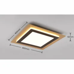 Plafonnier Trio MORGAN LED Or, Noir, 1 lumière, Télécommandes