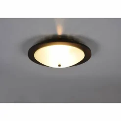 Plafonnier Trio Pali Bois foncé, 2 lumières