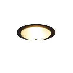 Plafonnier Trio Pali Bois foncé, 2 lumières