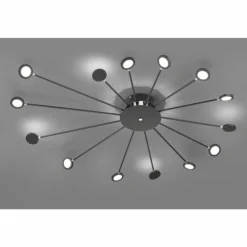 Plafonnier Trio Peacock LED Noir, 15 lumières