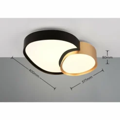 Plafonnier Trio RISE LED Noir doré, 1 lumière, Télécommandes