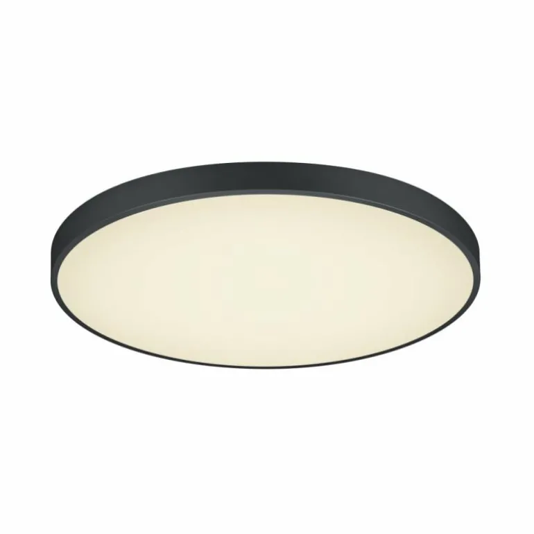 Plafonnier Trio Waco LED Noir, 2 lumières