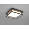 Plafonnier Trio Witham LED Anthracite, 1 lumière