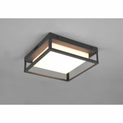 Plafonnier Trio Witham LED Anthracite, 1 lumière