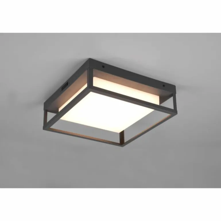 Plafonnier Trio Witham LED Anthracite, 1 lumière