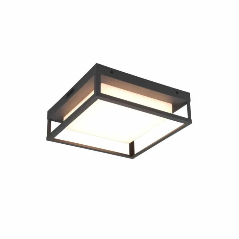 Plafonnier Trio Witham LED Anthracite, 1 lumière