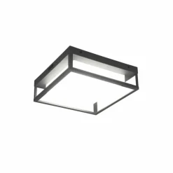 Plafonnier Trio Witham LED Anthracite, 1 lumière