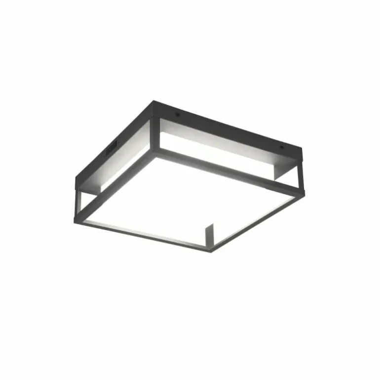 Plafonnier Trio Witham LED Anthracite, 1 lumière