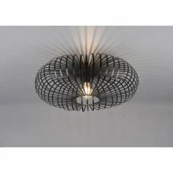 Plafonnier Trio-Leuchten Johann Noir, 1 lumière