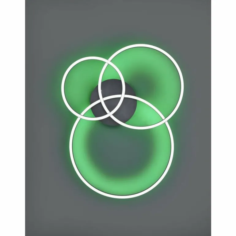 Plafonnier Trio-Leuchten Winona LED Noir, 2 lumières, Télécommandes, Changeur de couleurs