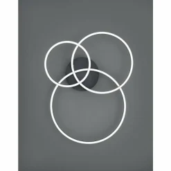 Plafonnier Trio-Leuchten Winona LED Noir, 2 lumières, Télécommandes, Changeur de couleurs