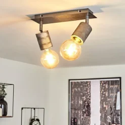 Plafonnier Tyldom Gris, Argenté, 2 lumières