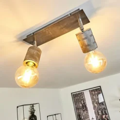 Plafonnier Tyldom Gris, Argenté, 2 lumières