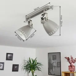 Plafonnier Vlissingen Chrome, Gris, 2 lumières