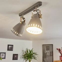 Plafonnier Vlissingen Chrome, Gris, 2 lumières