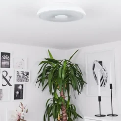 Plafonnier Vully Blanc, 1 lumière, Changeur de couleurs