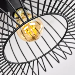 Plafonnier Wemude Noir, 1 lumière