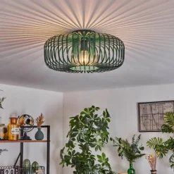 Plafonnier Wemude Vert, 1 lumière
