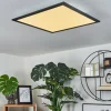 Plafonnier Wilderswil LED Blanc, 1 lumière