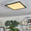 Plafonnier Wilderswil LED Blanc, 1 lumière