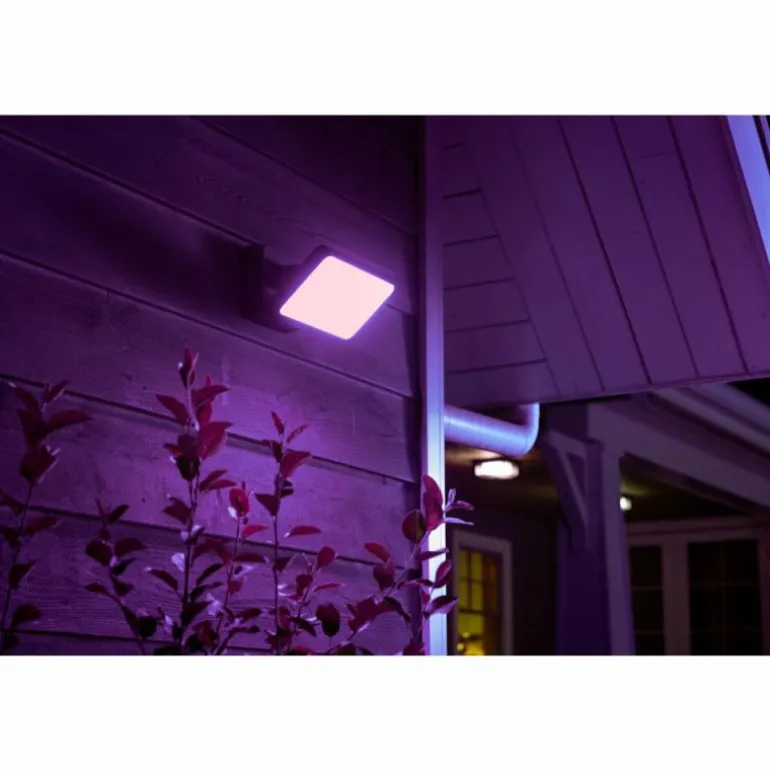 Projecteur Philips Hue Ambiance White & Color Discover LED Noir, 1 lumière, Changeur de couleurs