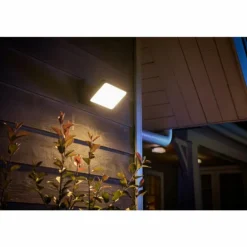 Projecteur Philips Hue Ambiance White & Color Discover LED Noir, 1 lumière, Changeur de couleurs