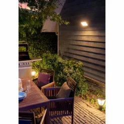 Projecteur Philips Hue Ambiance White & Color Discover LED Noir, 1 lumière, Changeur de couleurs