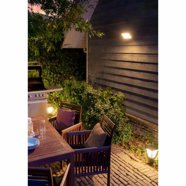 Projecteur Philips Hue Ambiance White & Color Discover LED Noir, 1 lumière, Changeur de couleurs