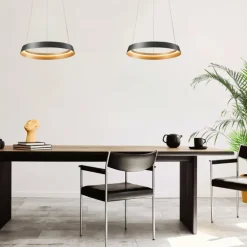 Ringlux Suspension Luminaires Steinhauer LED Noir, 1 lumière