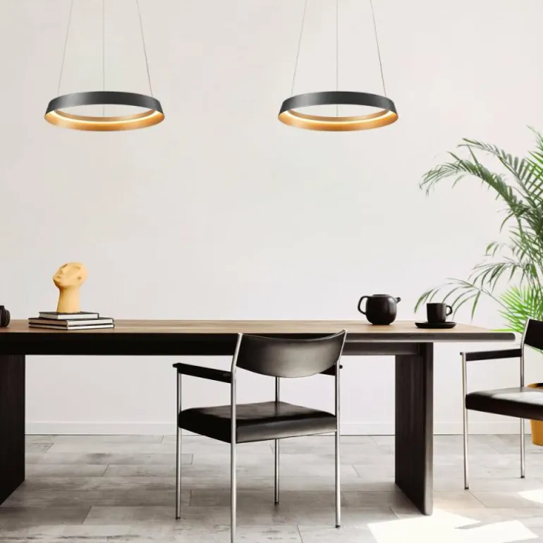 Ringlux Suspension Luminaires Steinhauer LED Noir, 1 lumière