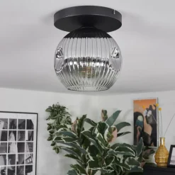 Ripoll Plafonnier, Boule lumineuse Clair, Fumé, 1 lumière