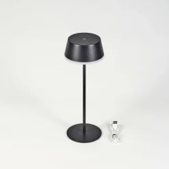 Romdrup Lampe de table d'extérieur, Lampe à poser LED Noir, 1 lumière