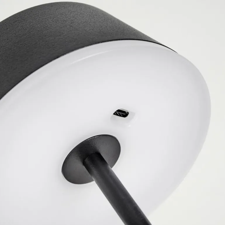 Romdrup Lampe de table d'extérieur, Lampe à poser LED Noir, 1 lumière